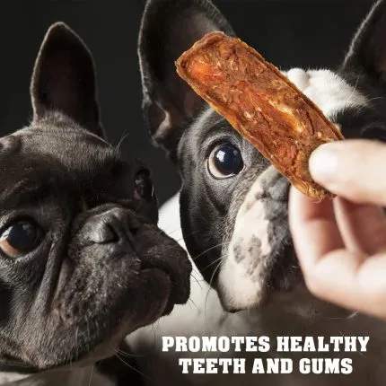 Training Chicken Jerky Dog Treats